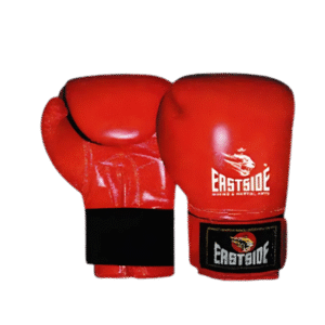 Pro Performance boxing gloves leather